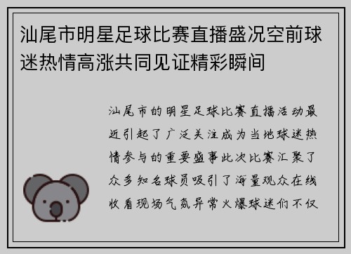 汕尾市明星足球比赛直播盛况空前球迷热情高涨共同见证精彩瞬间